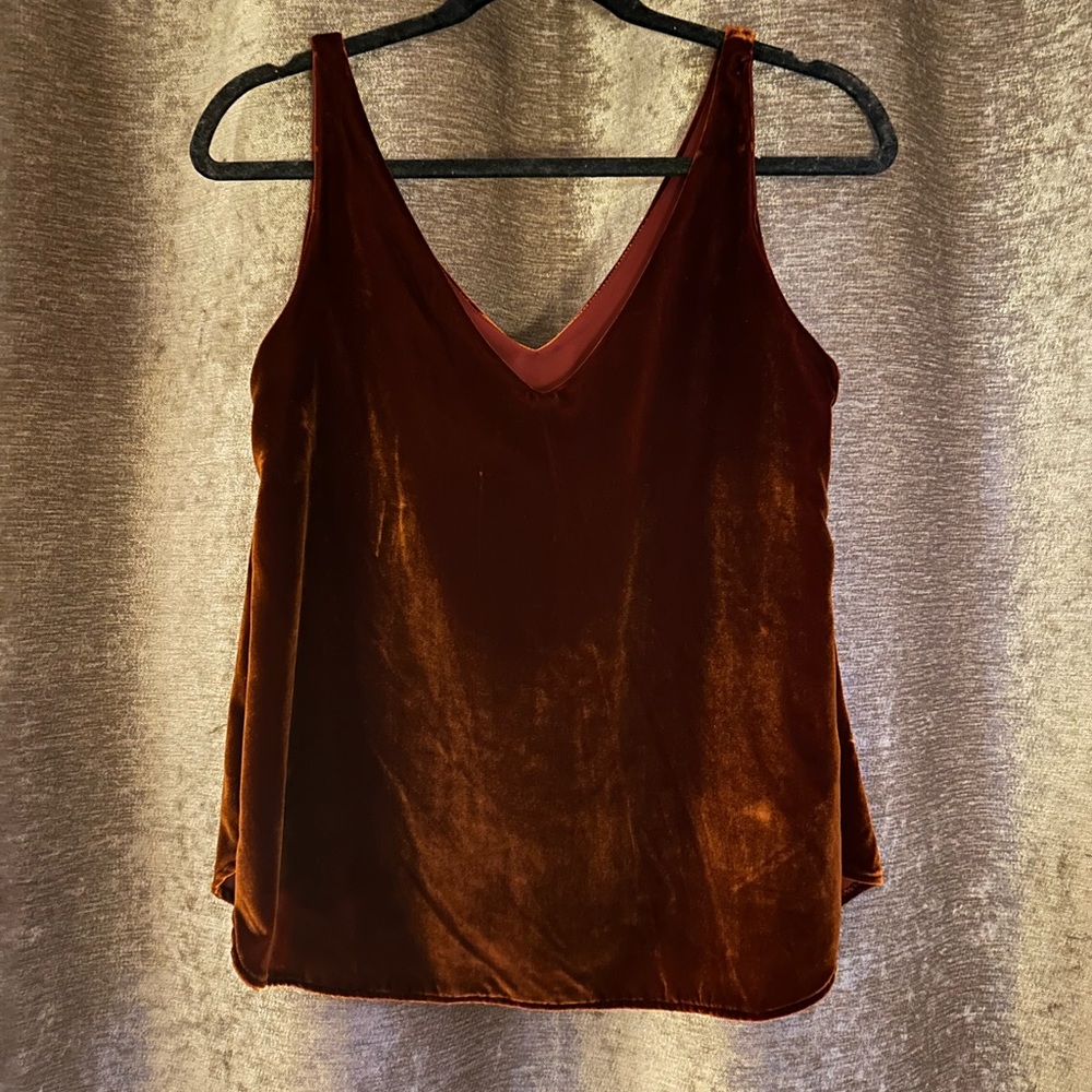Chestnut Velvet Blouse
